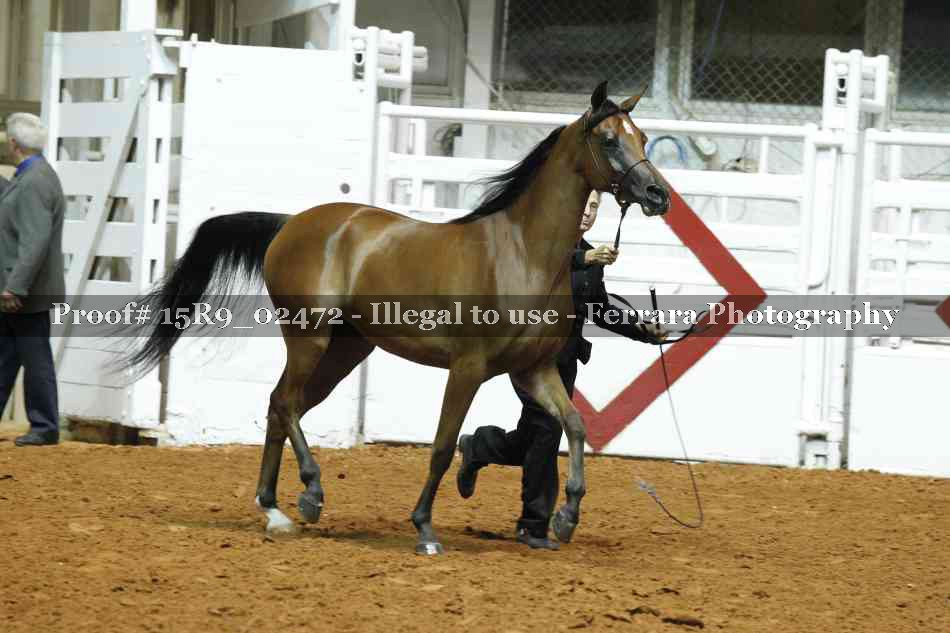 Proof Number 15R9_02472