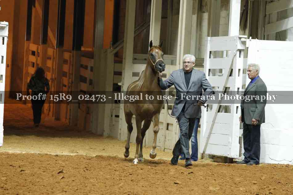 Proof Number 15R9_02473