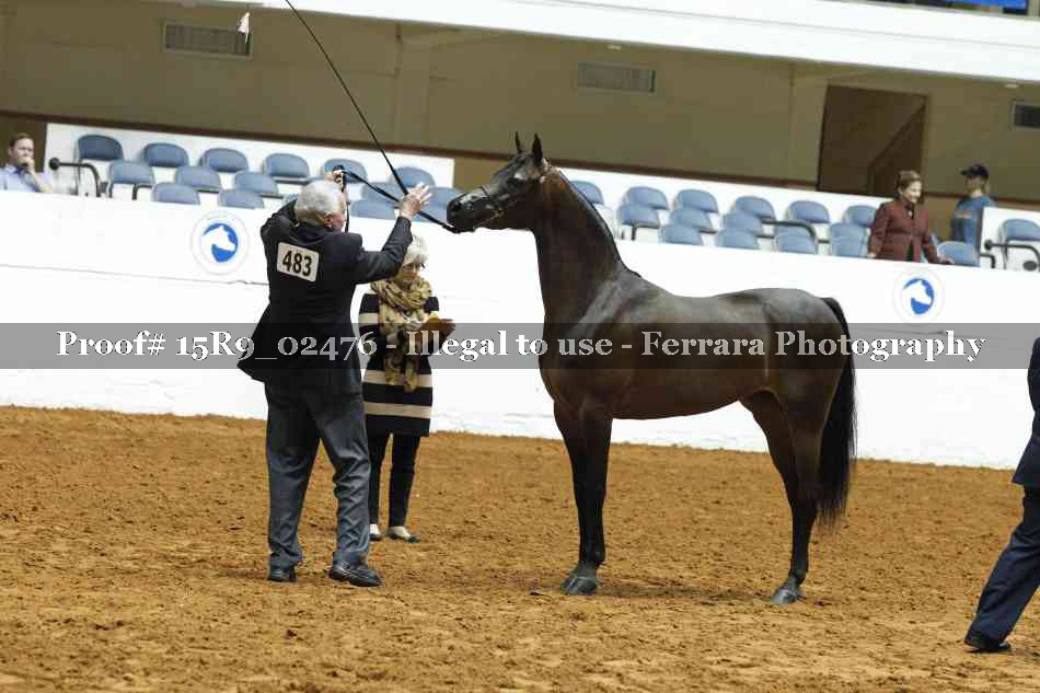 Proof Number 15R9_02476