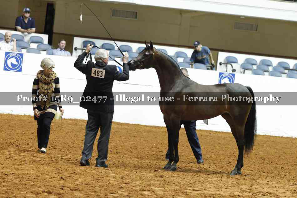 Proof Number 15R9_02477