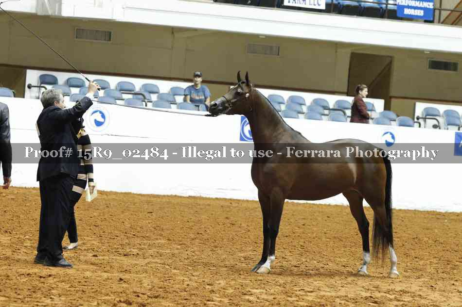 Proof Number 15R9_02484