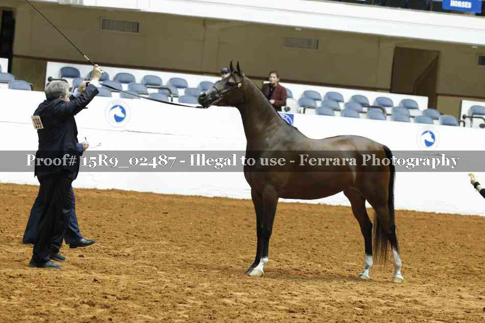 Proof Number 15R9_02487