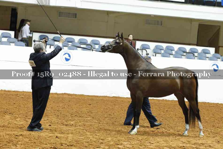 Proof Number 15R9_02488