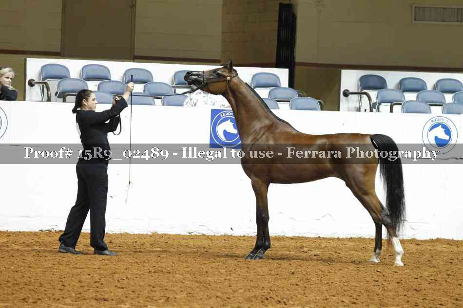 Proof Number 15R9_02489