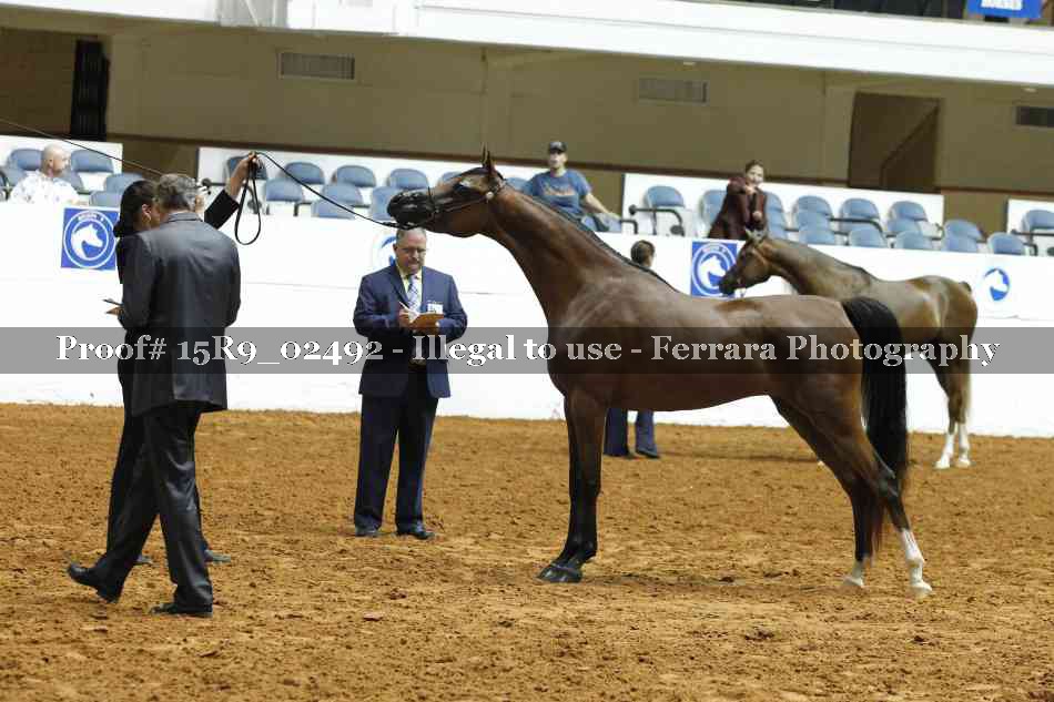 Proof Number 15R9_02492