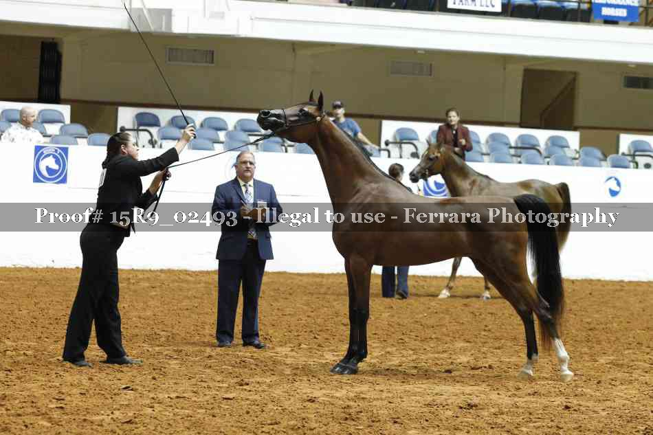 Proof Number 15R9_02493