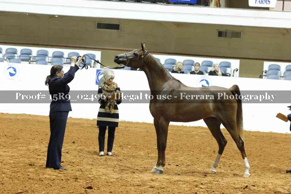 Proof Number 15R9_02496