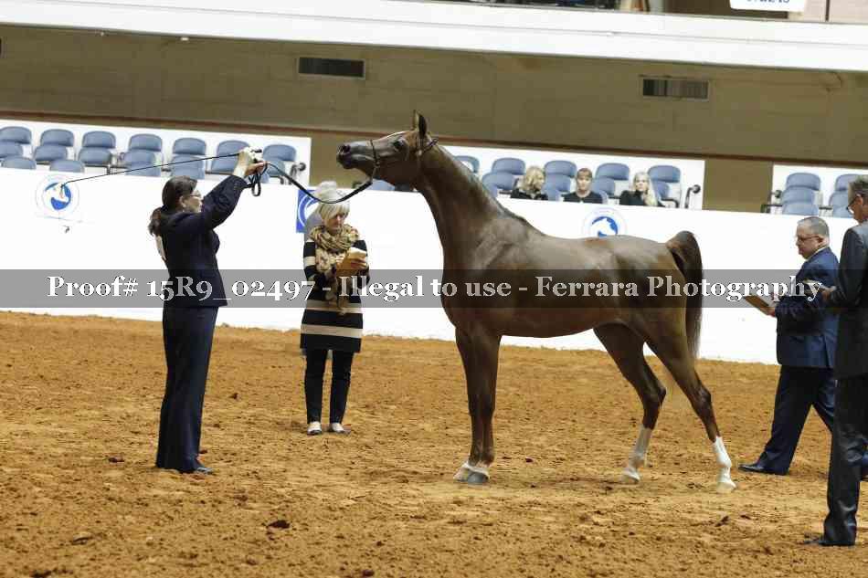 Proof Number 15R9_02497