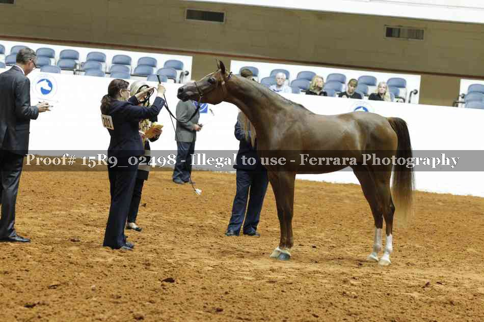 Proof Number 15R9_02498