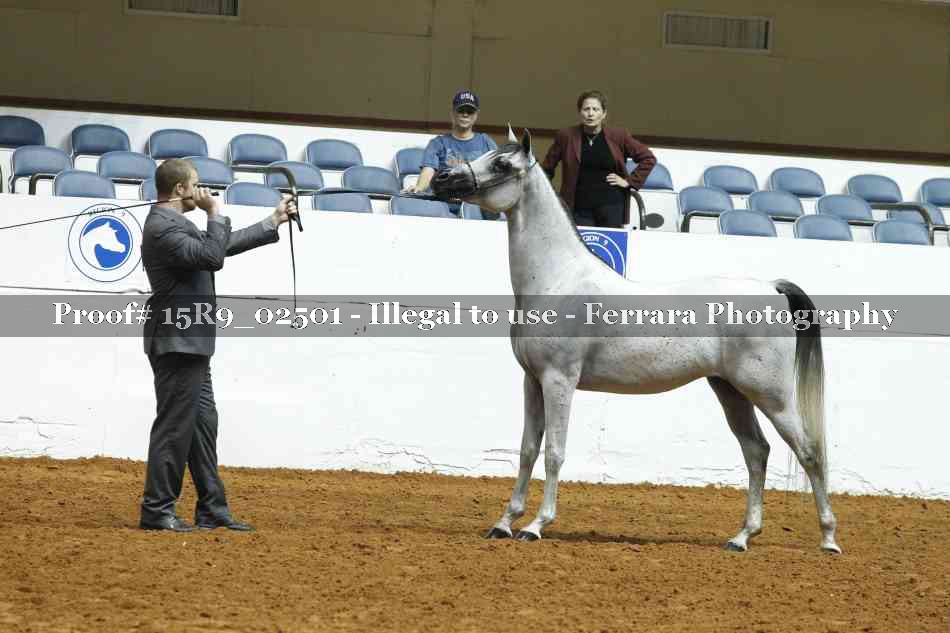 Proof Number 15R9_02501