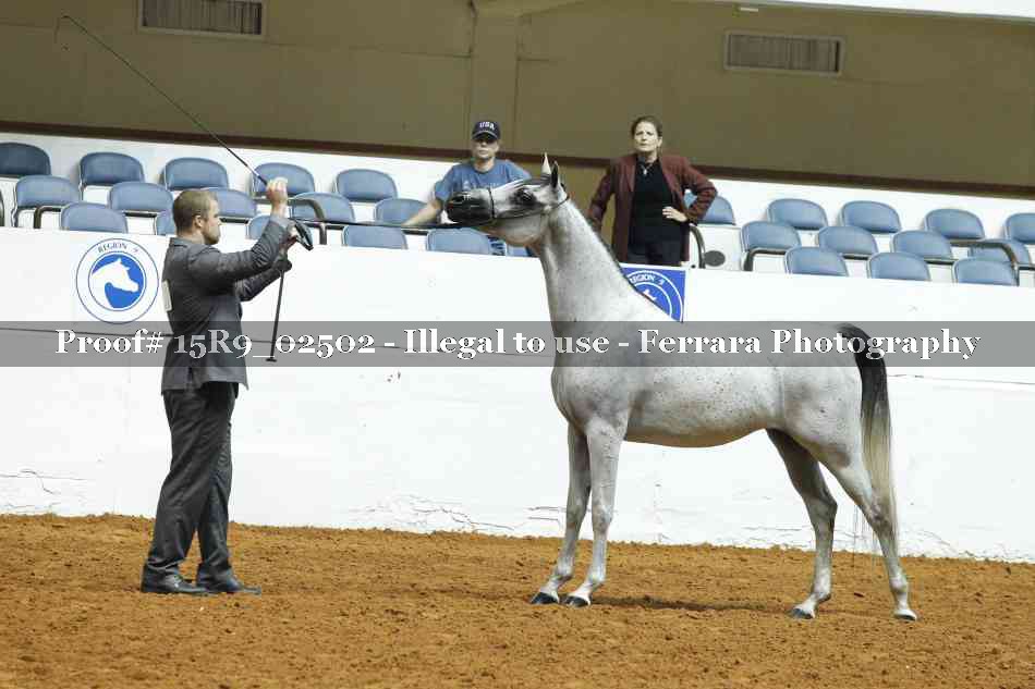 Proof Number 15R9_02502