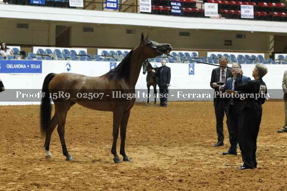 Proof Number 15R9_02507