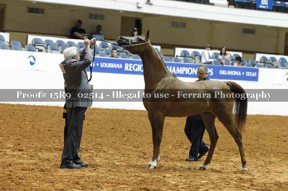 Proof Number 15R9_02514