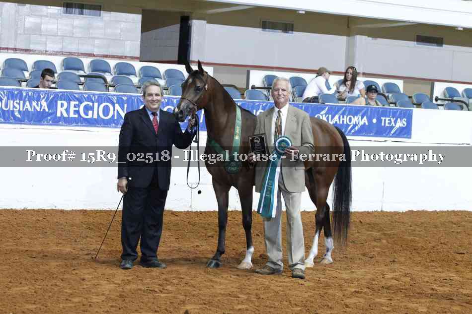 Proof Number 15R9_02518
