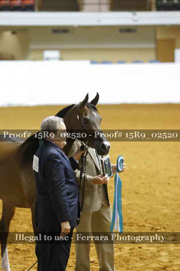 Proof Number 15R9_02520
