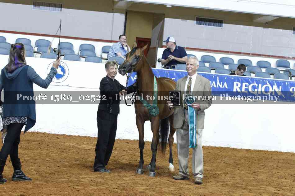 Proof Number 15R9_02522