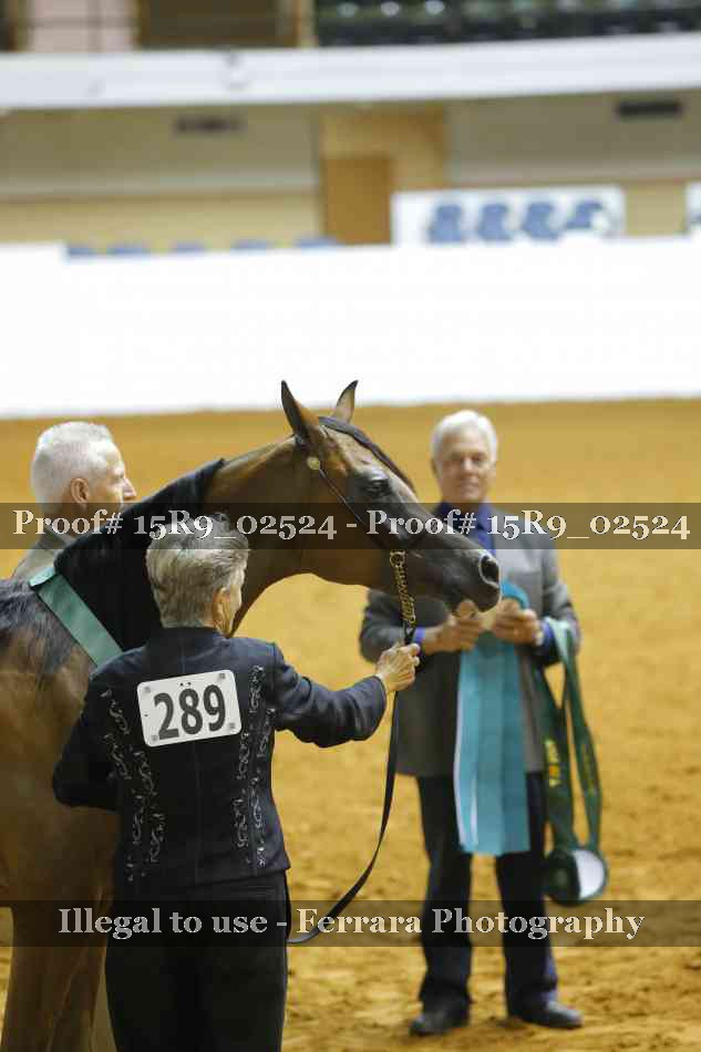 Proof Number 15R9_02524