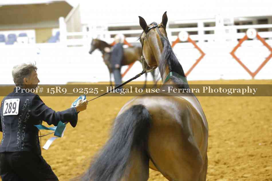 Proof Number 15R9_02525