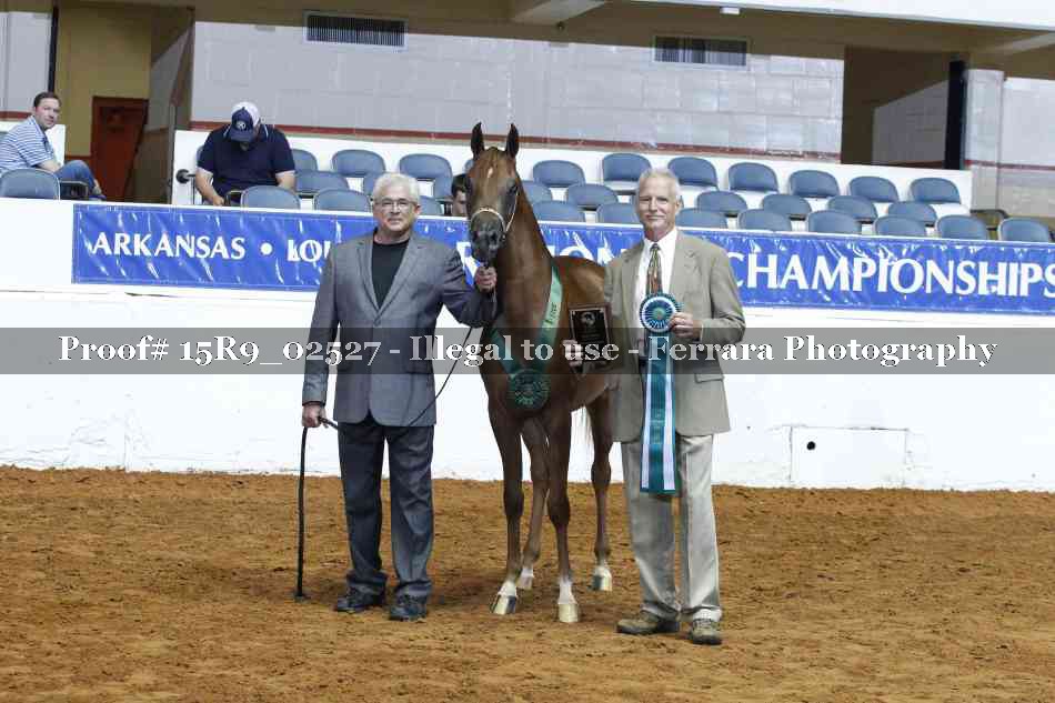 Proof Number 15R9_02527