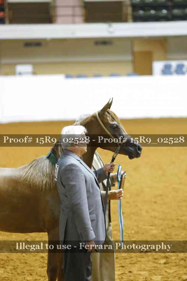 Proof Number 15R9_02528