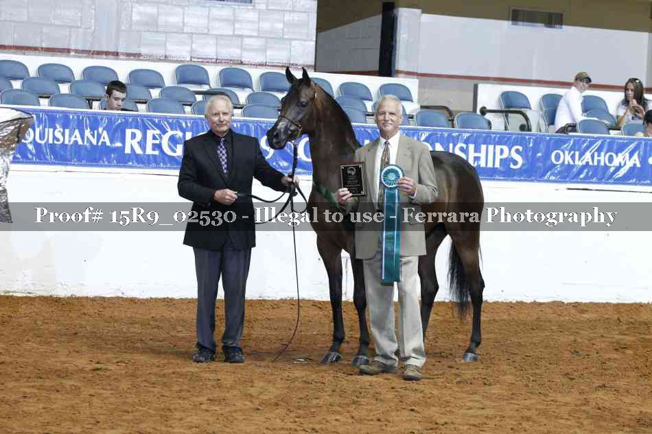 Proof Number 15R9_02530