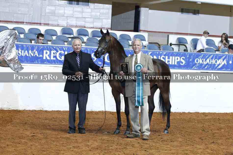 Proof Number 15R9_02531