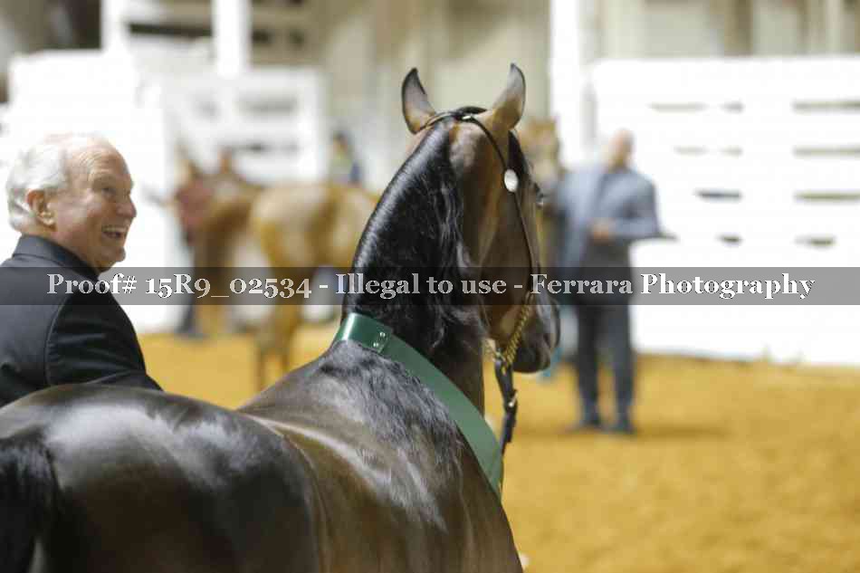 Proof Number 15R9_02534