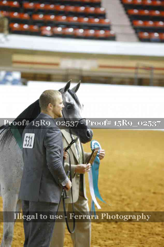 Proof Number 15R9_02537