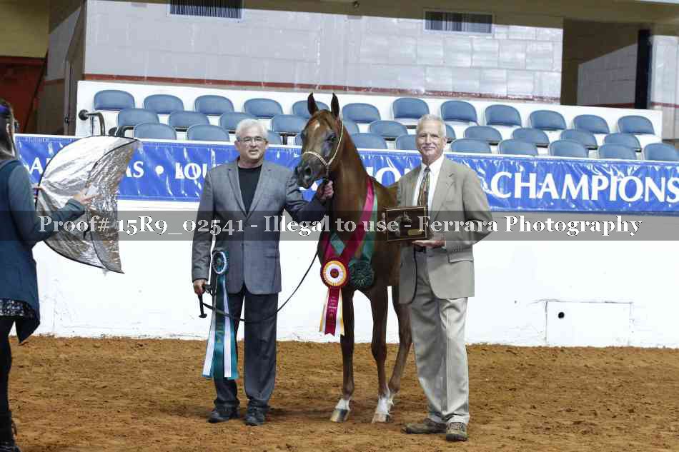 Proof Number 15R9_02541