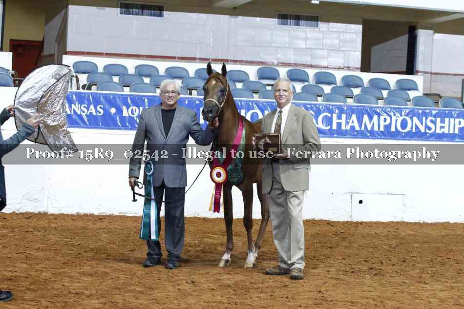 Proof Number 15R9_02542