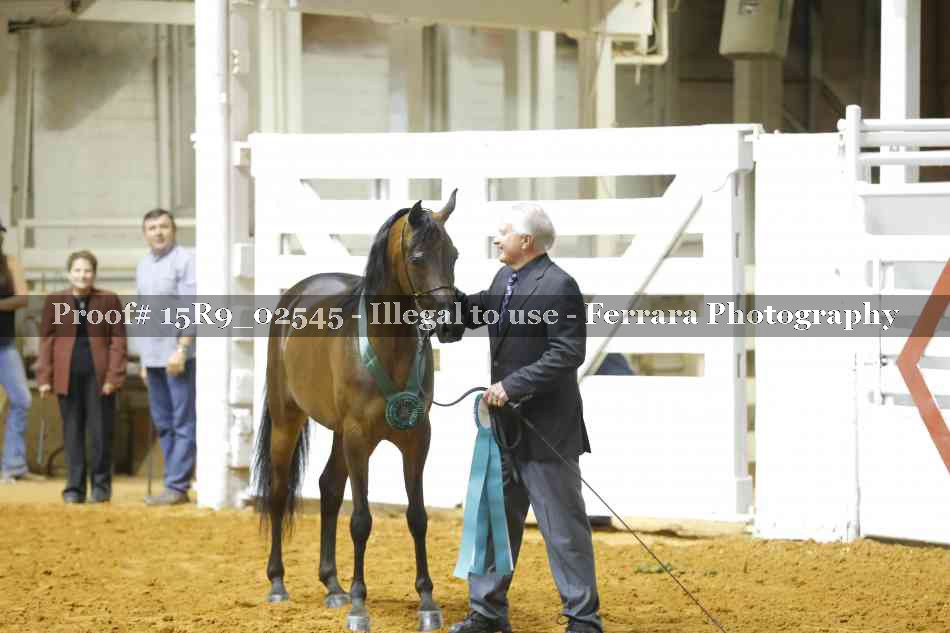 Proof Number 15R9_02545