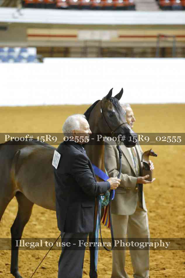 Proof Number 15R9_02555
