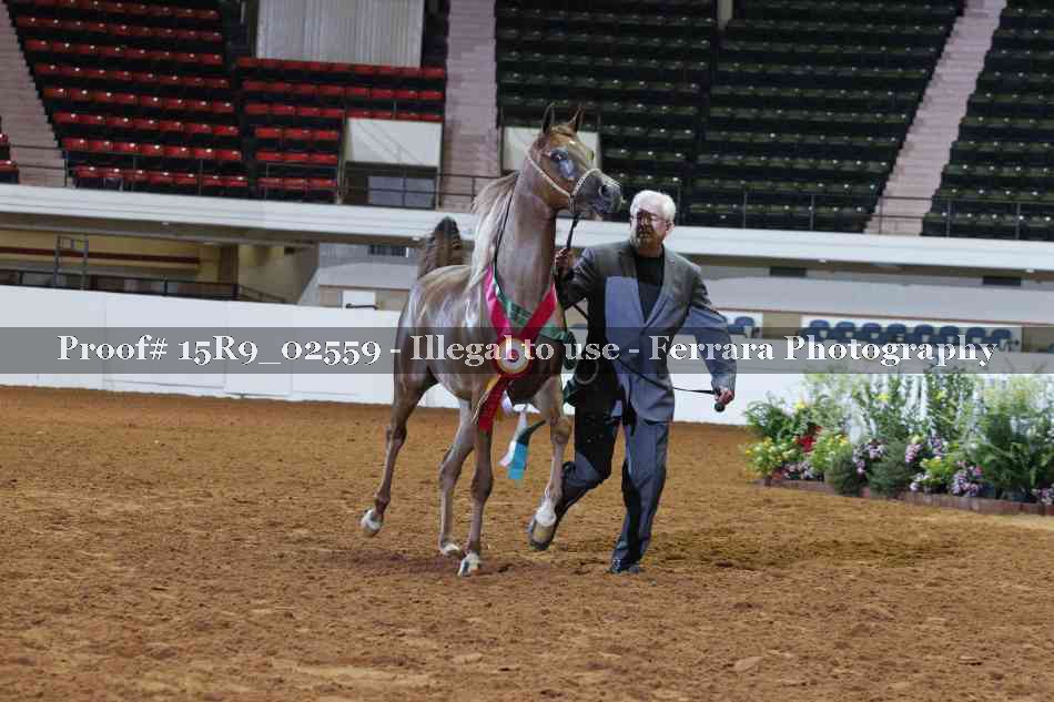 Proof Number 15R9_02559