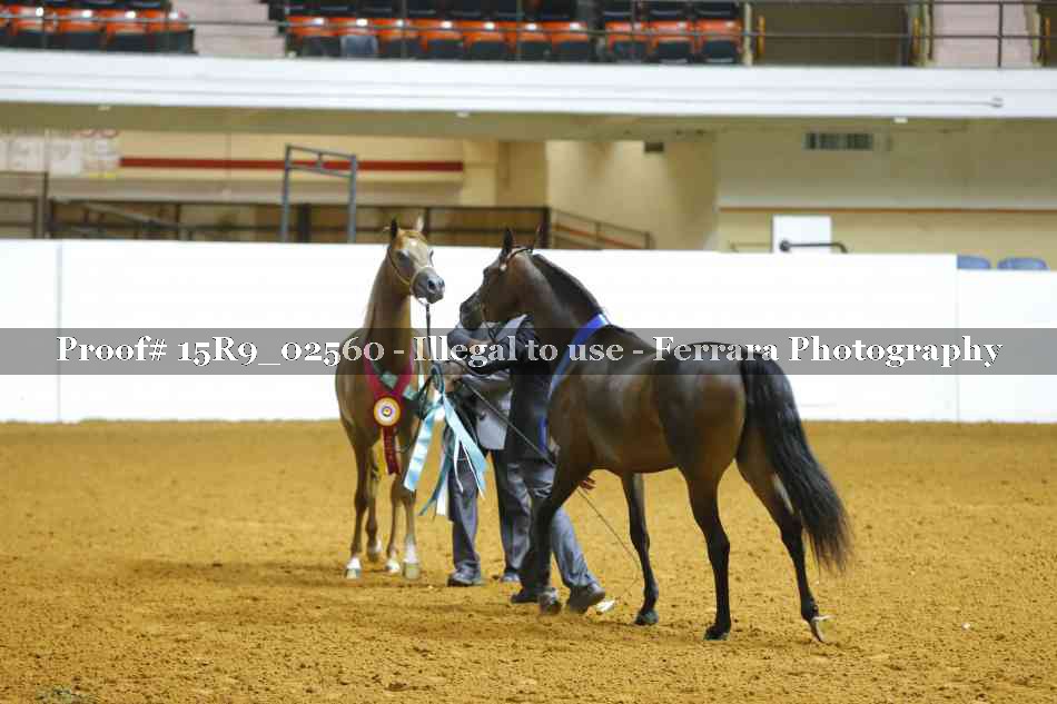Proof Number 15R9_02560