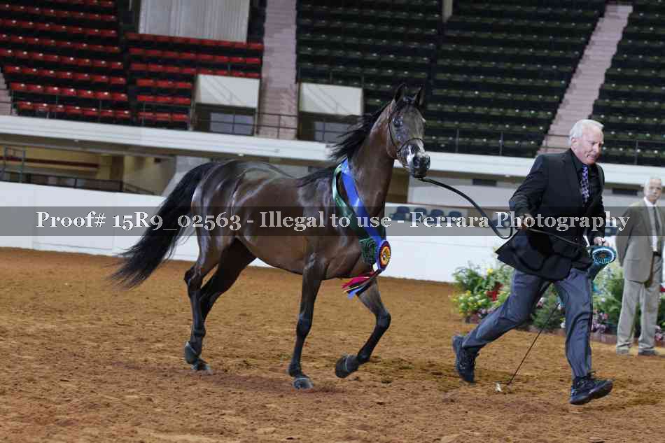 Proof Number 15R9_02563