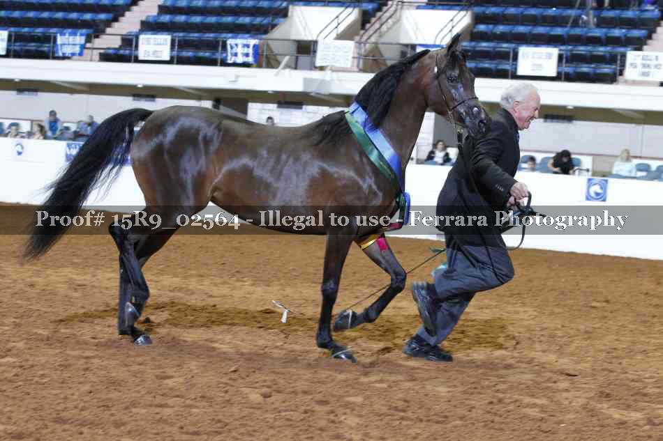 Proof Number 15R9_02564