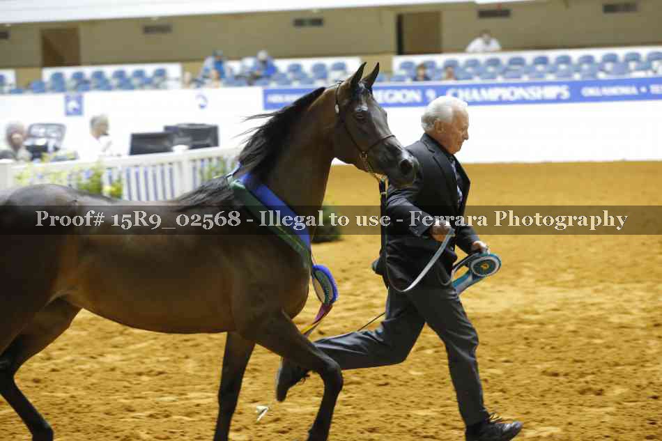 Proof Number 15R9_02568