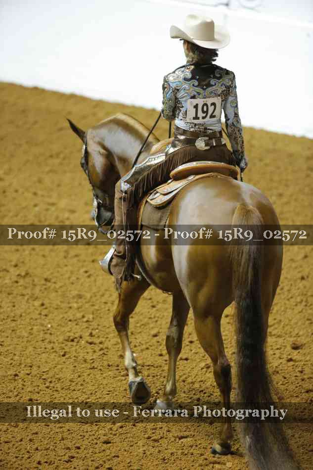 Proof Number 15R9_02572