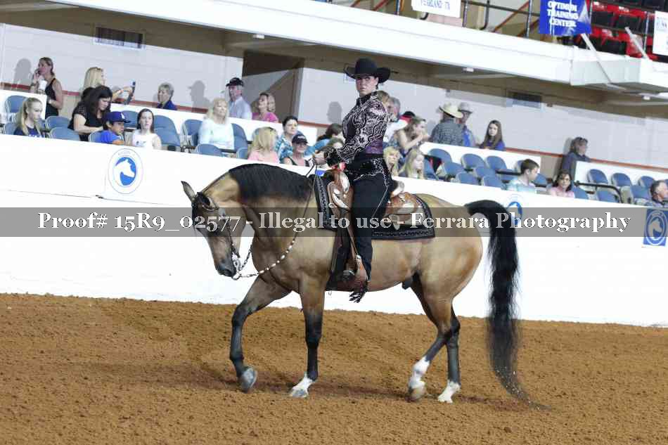 Proof Number 15R9_02577