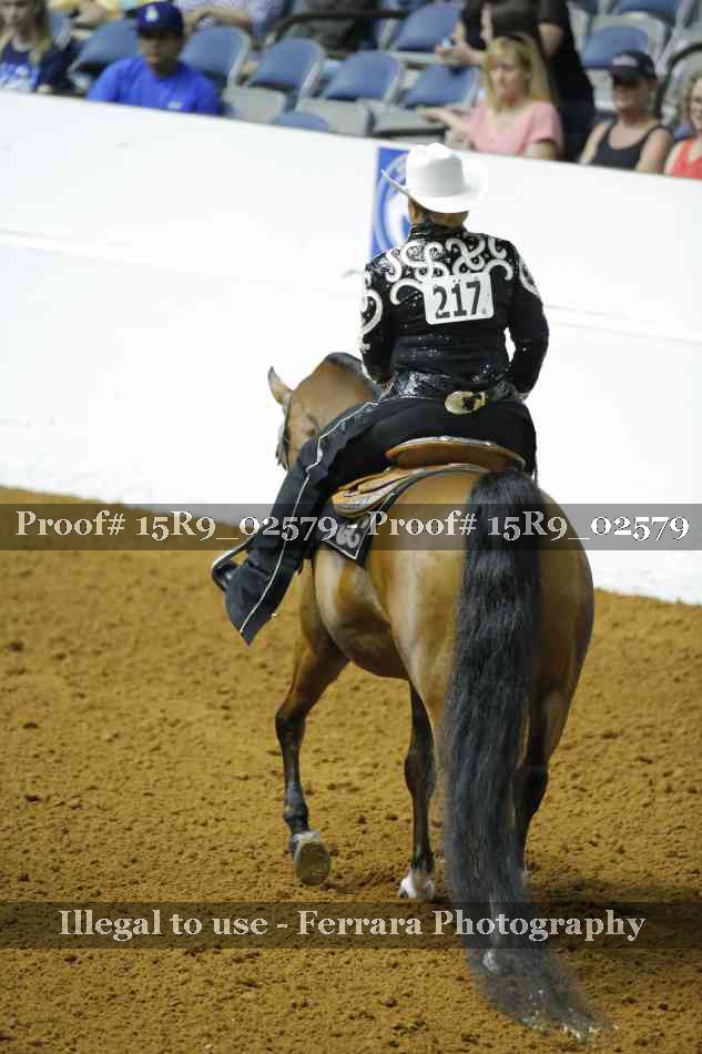 Proof Number 15R9_02579
