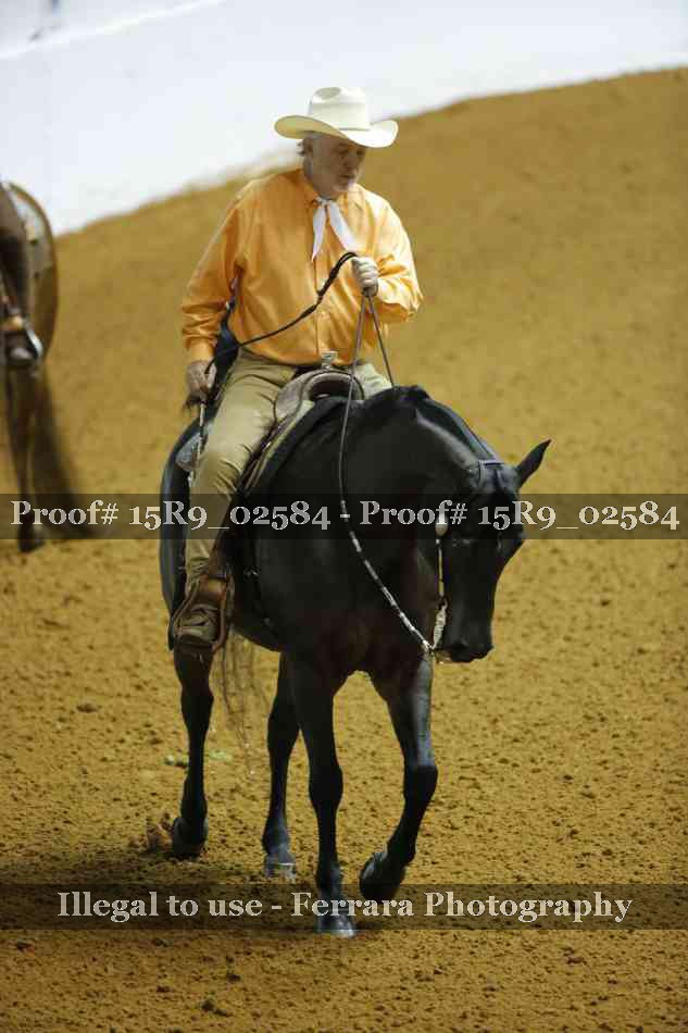 Proof Number 15R9_02584
