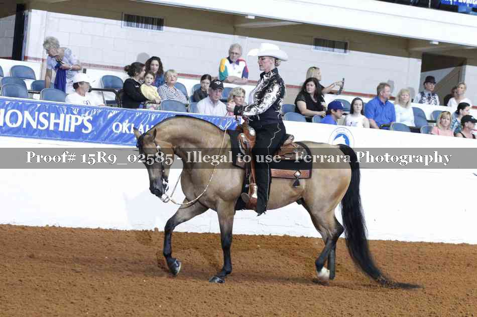 Proof Number 15R9_02585