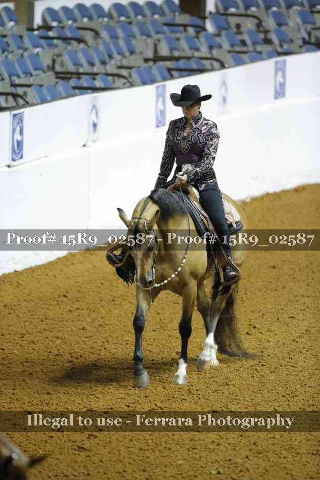 Proof Number 15R9_02587