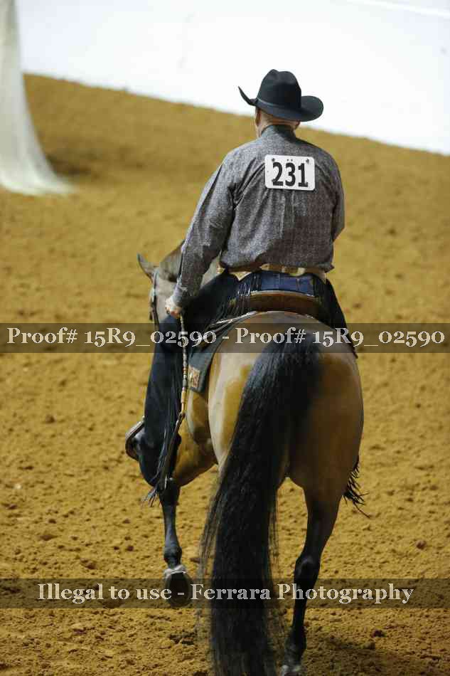 Proof Number 15R9_02590