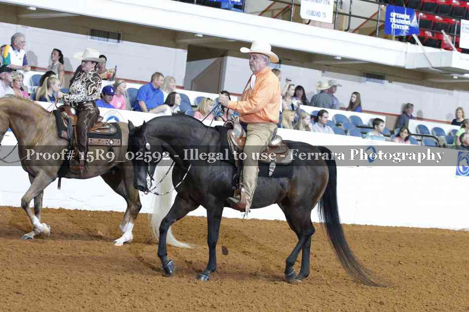 Proof Number 15R9_02592