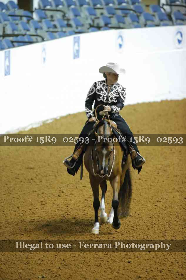 Proof Number 15R9_02593