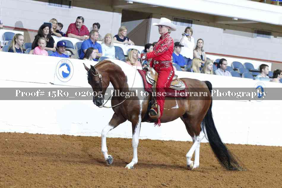 Proof Number 15R9_02605