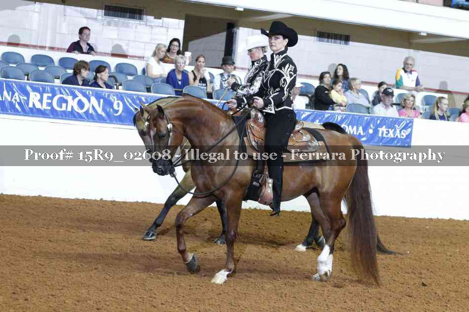 Proof Number 15R9_02608