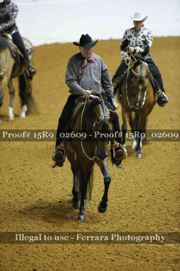 Proof Number 15R9_02609