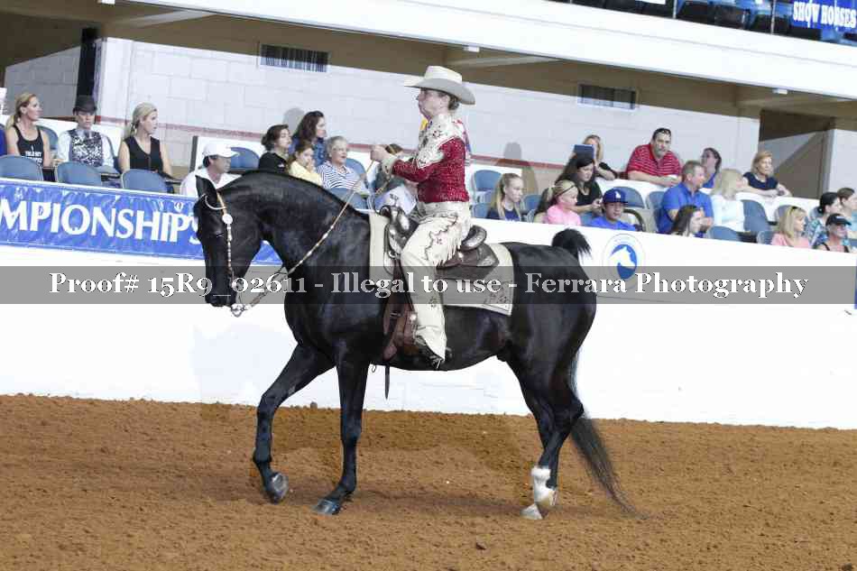 Proof Number 15R9_02611
